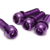 Reverse Schrauben Set Für Scheibenbremse M6 X 18mm - 4 Stück - Purple