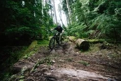 Santa Cruz Hightower 3 C GX AXS-Kit Matte Evergreen -Neueste Fahrradladen ITS 8582q33ciyqAzLHe0