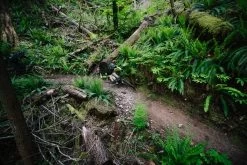 Santa Cruz Hightower 3 C GX AXS-Kit Matte Evergreen -Neueste Fahrradladen ITS 8948eTrtTp6GvtjwR