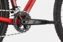 Cannondale Trail 5 Rally Red -Neueste Fahrradladen MTBHardtailTrail5RallyRedBMOBikeMailorder 4