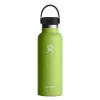 Hydro Flask Standard Mouth Flasche Mit Flex Deckel - 532 Ml - Seagrass